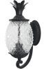 Matte Black Pineapple Wall Light