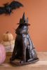 3D CAT WITH WITCH HAT