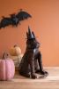 3D CAT WITH WITCH HAT