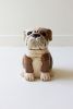 CERAMIC BULL DOG CANISTER