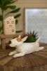CERAMIC BULL TERRIER PLANTER