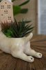 CERAMIC BULL TERRIER PLANTER