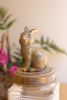 SET OF TWO RESIN AND GLASS RABBIT CANISTERS