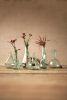 SET OF SIX BOTTLE BUD VASES