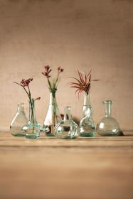 SET OF SIX BOTTLE BUD VASES