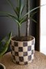 SET OF THREE CHECKERED CLAY PLANTERS WITH TRAYS