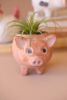 SET OF FOUR SHEEP, COW, CHICKEN AND PIG PLANTERS