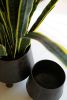 SET OF TWO HAND - HAMMERED IRON PLANTERS WITH LEGS
