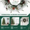 2 Pack 18in Pre-lit Snow Flocked Christmas Wreath, Lighted Artificial Xmas Wreath with 60 Warm Lights and 140 Tips and Red Berries Pine Cones