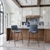 Desi Counter Stool Azure Gray & Walnut