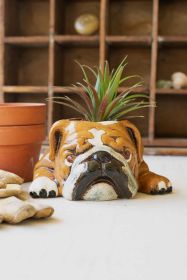 CERAMIC BULLDOG PLANTER (Option: MultiClay)