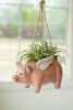 CERAMIC HANGING FLYING PIG PLANTER