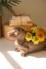 CEMENT DACHSHUND