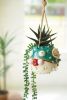 CERAMIC HANGING BLOWFISH PLANTER
