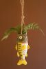 HANGING LARGEMOUTH BASS PLANTER