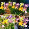 Solar Christmas Tree Outdoor Decor, Waterproof Solar Xmas Decorations Garden Stake Lights